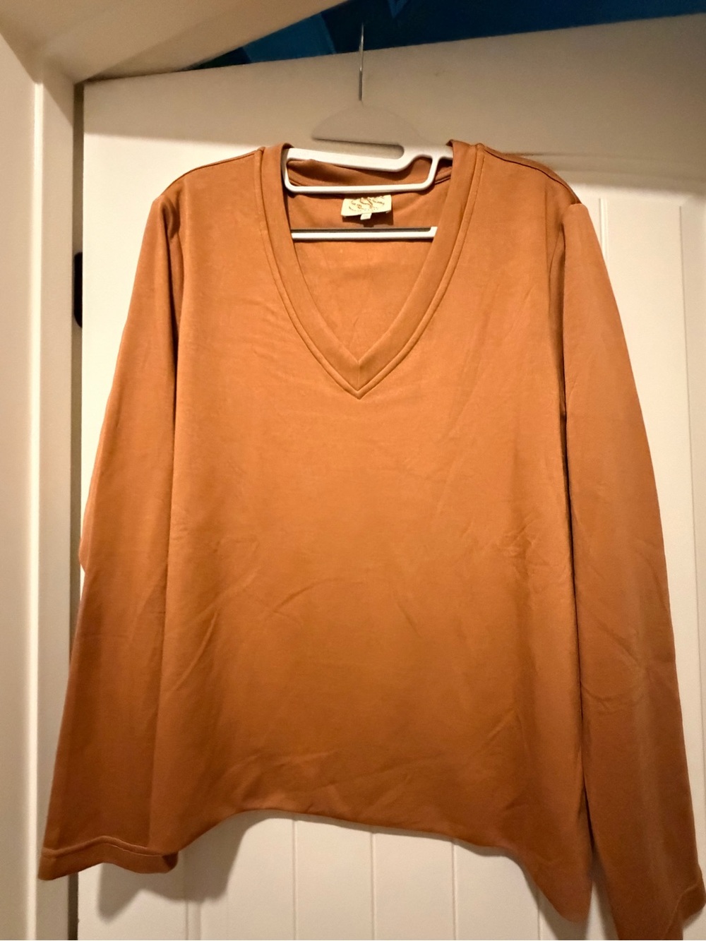 Women's V-Neck Long Sleeve Top in Rust Brown